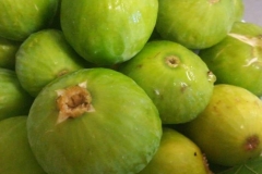 fichi